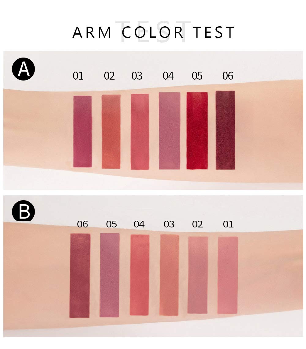 6Pcs Matte Liquid Lipstick Set, Waterproof Non Stick Cup Lip Gloss (Set A)